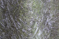 Mill Of Haldane fibreglass roof work